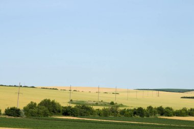 Buğday ve mavi gökyüzü bulutlu alan