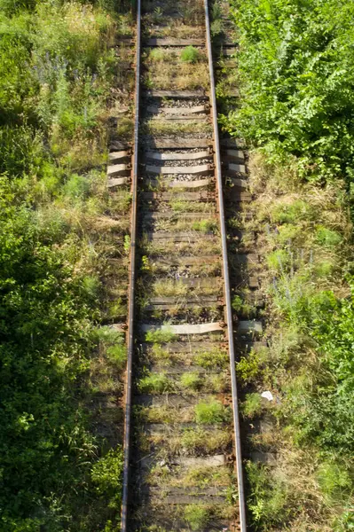 Ormandaki eski demiryolu rayları