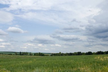 Yeşil tarlası ve bulutlu mavi bulutlu gökyüzü