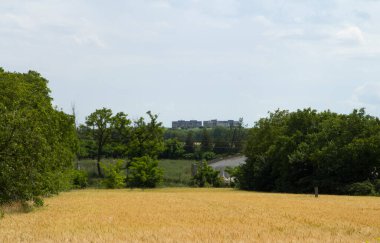 Ukrayna 'daki Soya köyünün manzarası