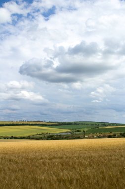 Doğanın güzel manzarası