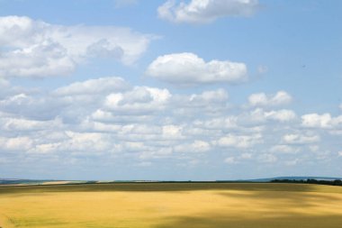 Sarı çimenli ve mavi gökyüzü olan bir yer..