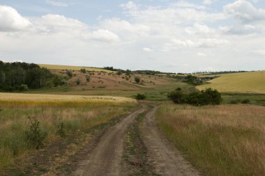 Yeşil tarlalarla çevrili kırsal bir yolun güzel bir görüntüsü.