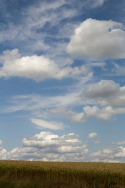 alan ve gökyüzü bulutlu