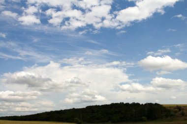 Mavi gökyüzü ile güzel bir yaz çayırı