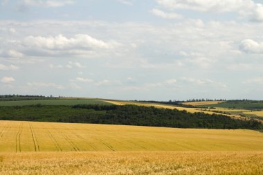 Saha ve gökyüzü. manzara.