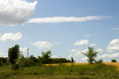 Doğanın güzel manzarası