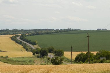 Tarlaları, ormanları ve tepeleri olan manzara