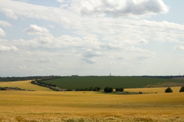 Uzakta buğdaylı bir tarla