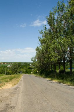Yazın ormanda bir yol.