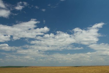 Yaz manzarası, yeşil çimenli tarla ve bulutlu mavi gökyüzü, doğa arka planı