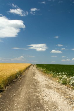 Kırsalda buğday tarlaları olan toprak yol, tarım, kırsal alan