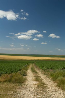 bir tarladan geçen yol