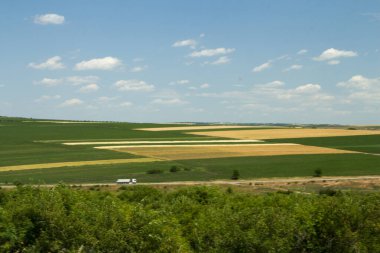 tarımsal alanlar ve ekinler