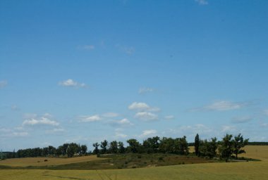 Yeşil tarlalı ve mavi gökyüzüyle manzara.