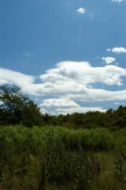 Doğanın güzel manzarası