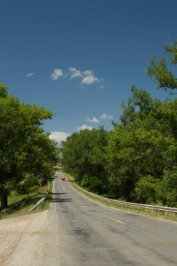 Ağacı ve mavi gökyüzü olan bir yol.
