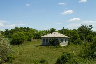 Ormanda yeşil çimenleri olan eski bir ev.
