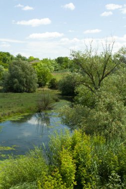 Parktaki güzel nehir