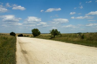 Tarlada güzel bir yol