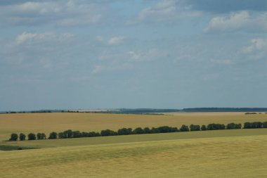 Yeşil ve mavi gökyüzü olan güzel bir manzara.