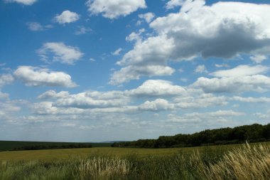 Yeşil tarlası ve mavi gökyüzü olan bir manzara.