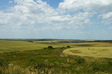 Çimen ve bulutlarla kaplı yaz manzarası
