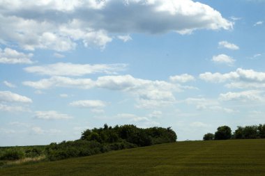 Yeşil tarlalar ve bulutlu mavi gökyüzü. Güzel yaz manzarası. yüksek kaliteli fotoğraf
