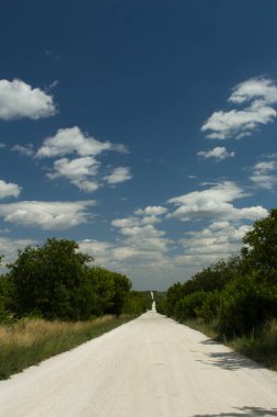 Küba 'nın güneyindeki kırsal bölgede yol.