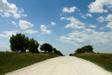 Tarlanın ortasındaki toprak yol.