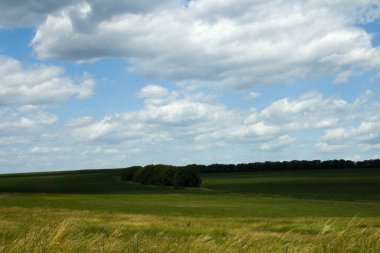 yeşil çayır ve bulutlu gökyüzü mavi