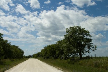 Bir alanın ortasında yol