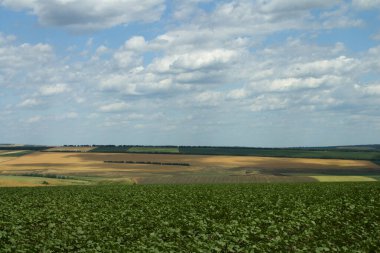 tarımsal alan, kırsal alan