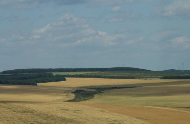 Buğday tarlası ve bulutlu gökyüzü olan güzel bir manzara.