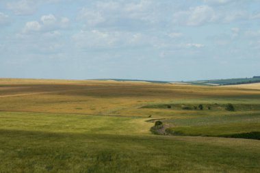 Çimen tarlası ve mavi gökyüzü olan yaz manzarası