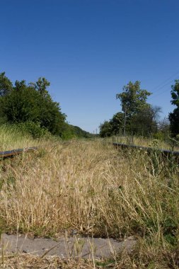 Güney Afrika 'da demiryolu