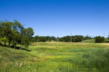 Yeşil tarla ve bulutlu mavi gökyüzü