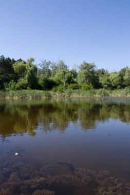 Nehir ve ormanlı güzel bir manzara.