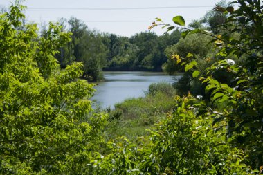 Göl manzarası ve parktaki ağaçlar..