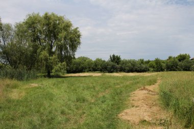 Ormandaki yol köydeki köyde.