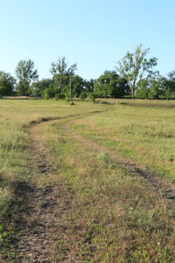 bir toprak ve çimen yolu