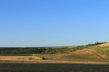 Buğday tarlası ve bulutlu gökyüzü olan güzel bir manzara.