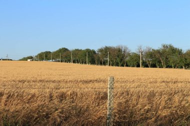 Kırsal alanda mavi gökyüzü