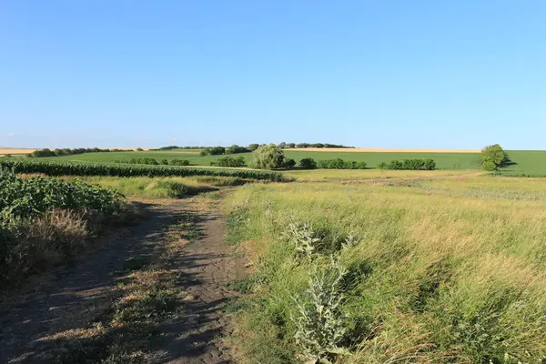 Almanya 'nın kırsal kesimlerinde tarlaları ve çayırları olan manzara