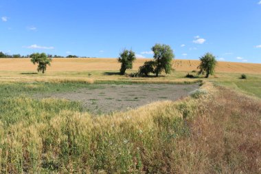 hasat sonrası saman tarlası.