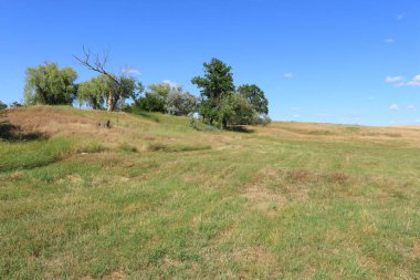 Güzel bir çimen tarlası ve mavi bir gökyüzü.