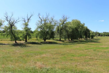 Doğanın güzel manzarası