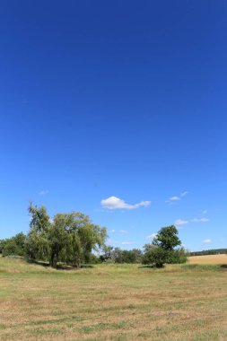 Çimen ve mavi gökyüzü