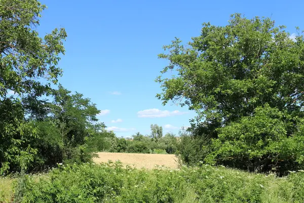 bozkırın manzarası