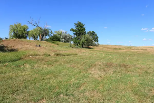 Güzel bir çimen tarlası ve mavi bir gökyüzü.